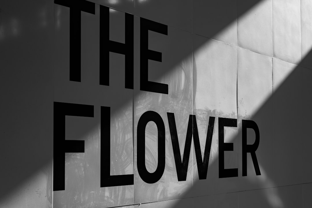 Bold typography on wall display